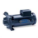 Berkeley Pumps Type C Series Straight Centrifugal Pumps