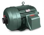 Baldor V*S Master Severe Duty Vectory Drive, 3 Phase, Totally Enclosed Motors