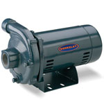 Berkeley CP / CB Series High and Medium Head Cast Iron Centrifugal Pumps