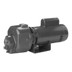 Berkeley DMC Series Multi-Stage Centrifugal Pumps