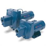 Berkeley Shallow Well Jet Pumps