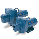 Berkeley HN Series Shallow Well Jet Pumps
