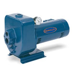 Berkeley LT2 Series Horizontal Multi-Stage Jet / Centrifugal Pumps