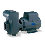 Berkeley LTM & LTH Series Self-Priming, Cast Iron Centrifugal Pumps
