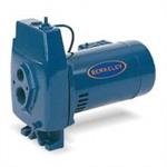 Berkeley Well Pumps
