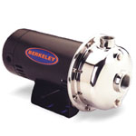 Berkeley SSCX Series Centrifugal Pumps