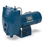 Berkeley Convertible Jet Pumps