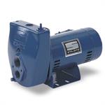 Berkeley SL and SLJ Series Cast Iron Convertible Jet Pumps