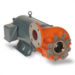 Berkeley Motor Drive Pumps