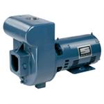 Sta-Rite D Series Pumps