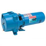 Goulds Self-Priming End Suction Pumps