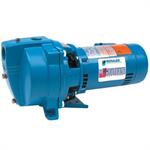 Goulds Shallow Well Jet Pumps and Centirfugal Self-Priming Well Pumps 