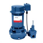 Goulds Deep Well Vertical Jet Pumps