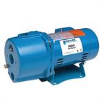 Goulds Convertible Jet Pumps