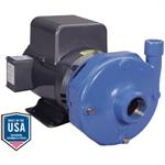 Goulds 3656 S Group Series Centrifugal Pumps