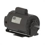 WEG Poultry Fan motors