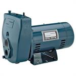Sta-Rite ProJet SL Series Convertible Jet Pumps