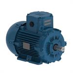 WEG ATEX Motors