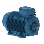 WEG ATEX Motors - TEFC, EX Ec