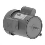 WEG Auger Motors
