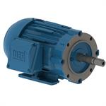 WEG Close Coupled JM/JP