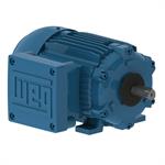 WEG Explosion Proof Motors
