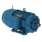 WEG General Purpose Brake Motors