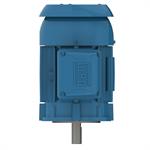 WEG General Purpose Motors - 3 Phase, TEFC, C-Face, Footless, Cast Iron