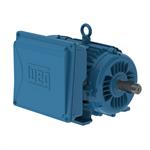 WEG General Purpose Motors - Single Phase, TEFC, Foot Mount, Cast Iron