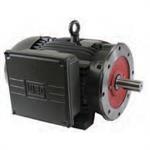 WEG Irrigation Duty Motors