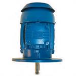 WEG P-Base Motors