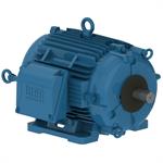 WEG Cooling Tower Motors, TEAO, 3-Phase, Foot Mount, NEMA Premium
