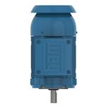 WEG Explosion Proof Motors, C-Face, Footless