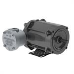 WEG Explosion Proof Motors, Three Phase, Foot Mount