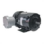 WEG Explosion Proof, 3 Phase Motors
