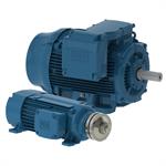 WEG Definite Purpose Motors