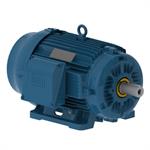 WEG Severe Duty Motors