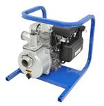 AMT 2-3" General Purpose Engine Driven Pumps