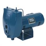 Sta-Rite Convertible Jet Pumps