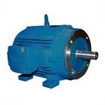 WEG Vector Duty Motors