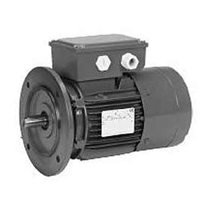 U.S. Motors - Emerson BR13S2AC3 Motor