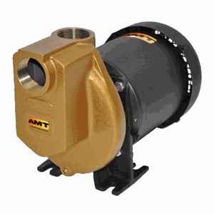 3890-97 AMT Self-Priming Chemical Pumps