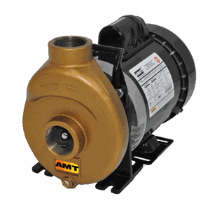 388F-97 AMT Bronze Inline Centrifugal Pump