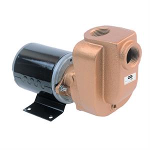 AMT Pumps Self-Priming Utility Pump
