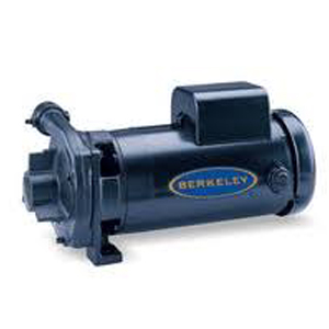 B53602S Berkeley Straight Centrifugal Pumps