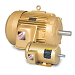 Baldor CEM3116T