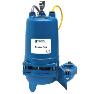 Goulds 2WD51E4AA Pump