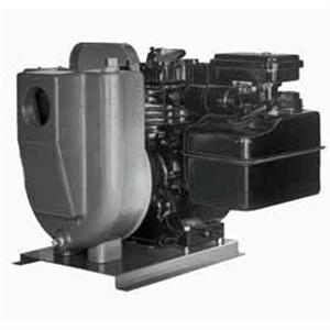 EDDH Sta-Rite Sewage Pumps 