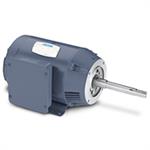 Leeson Pump Motors