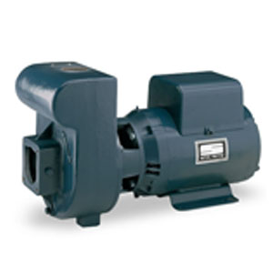 Sta-Rite DHF-51L